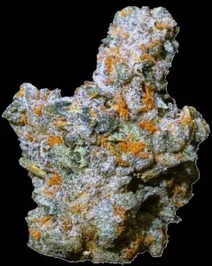 Apollo 30/1 MID – Marmalade – Produktbild des Anbieters Dr. Ansay