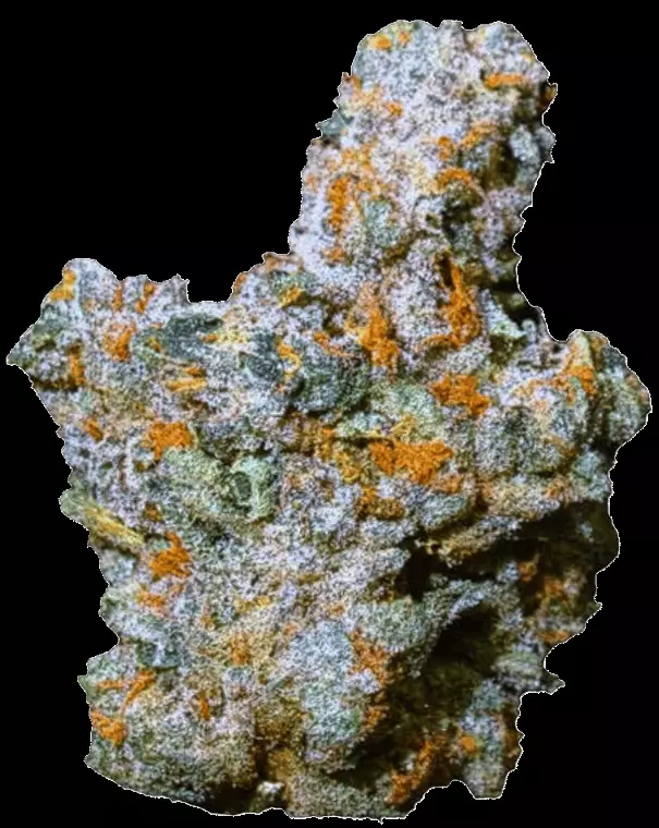 Apollo 30/1 MID – Marmalade – Produktbild des Anbieters Dr. Ansay