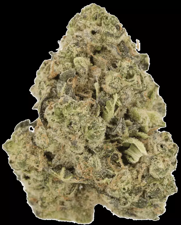 Cannamedical Indica Ultra AU – Green Delight – Produktbild des Anbieters Dr. Ansay