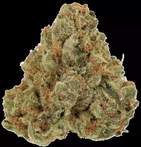 Cannamedical Sativa Classic AU – Crescendo Cookies – Produktbild des Anbieters Dr. Ansay