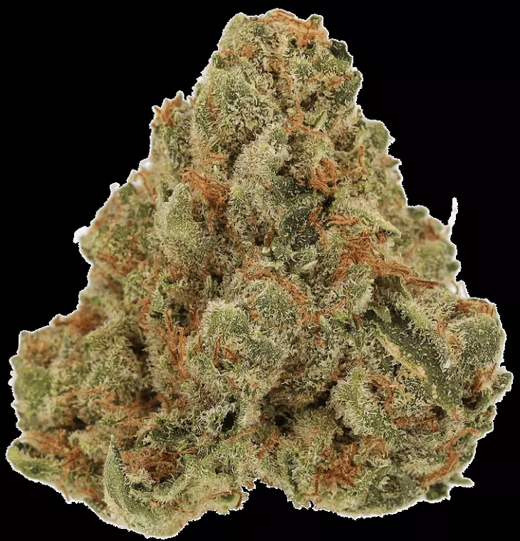 Cannamedical Sativa Classic AU – Crescendo Cookies – Produktbild des Anbieters Dr. Ansay