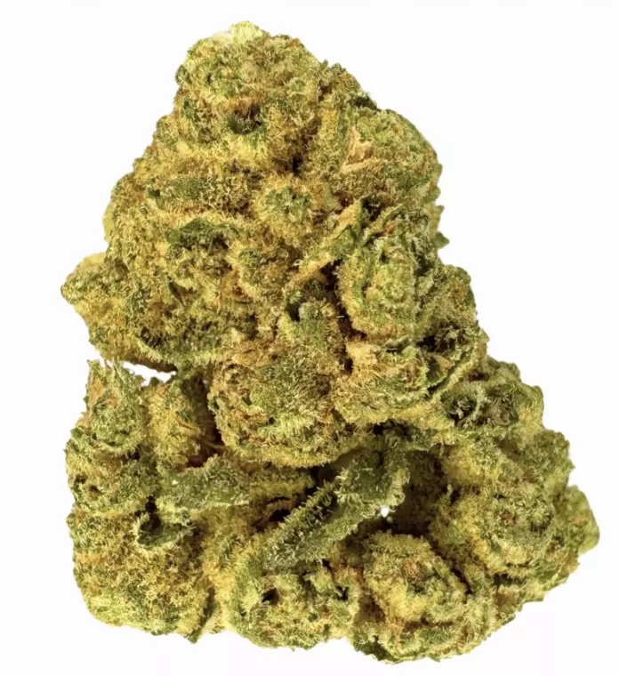Remexian 25/1 BPD – Big Purple Dragon – Produktbild des Anbieters Dr. Ansay