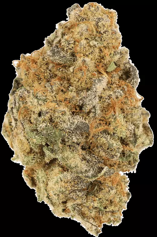 Cannamedical Indica Forte BC – Banana Cream Cake – Produktbild des Anbieters Dr. Ansay