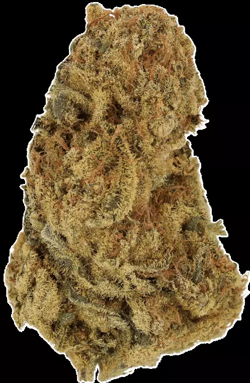 Cannamedical Sativa Forte ES – Banjo – Produktbild des Anbieters Dr. Ansay