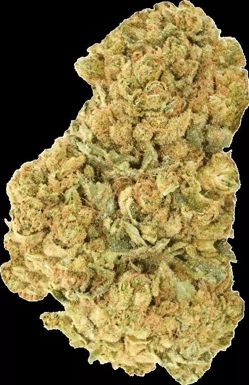 Tilray Craft THC25 BCR Beach Crasher – Beach Crasher – Produktbild des Anbieters Dr. Ansay