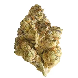 Beyond Bloom AV Gas 24/1 – AV Gas – Produktbild des Anbieters Dr. Ansay