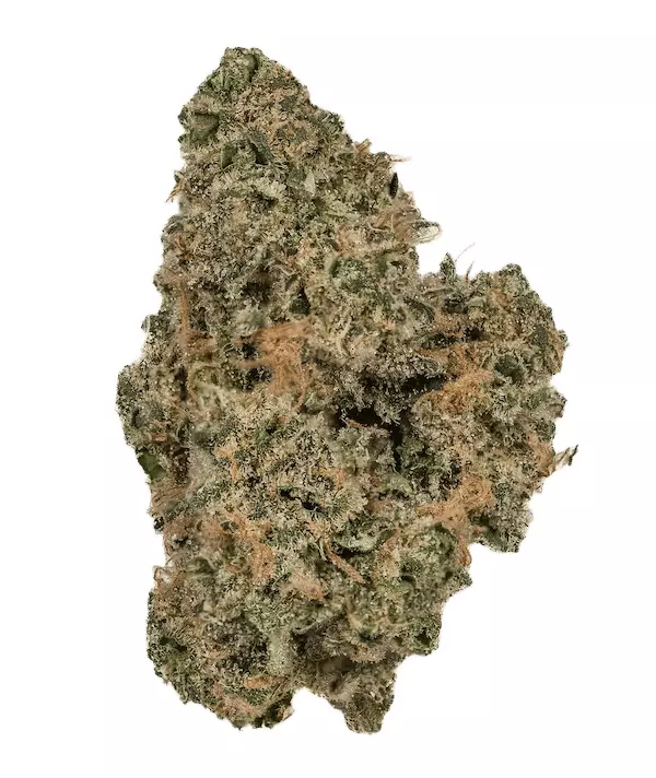 CherryCo 23:01 GOG-K – Gelato OG – Produktbild des Anbieters Dr. Ansay