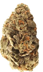 aleph fire 32/1 – Amnesia Skittlez – Produktbild des Anbieters Dr. Ansay