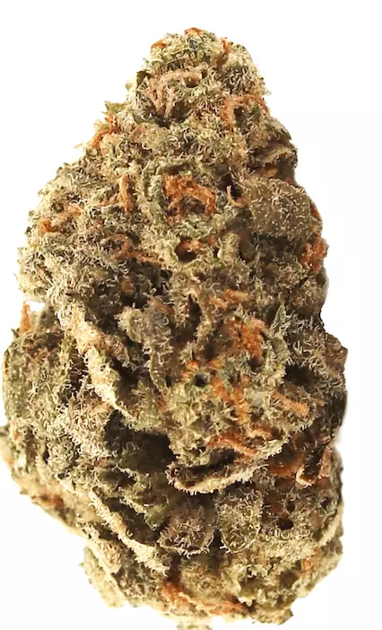 aleph fire 32/1 – Amnesia Skittlez – Produktbild des Anbieters Dr. Ansay