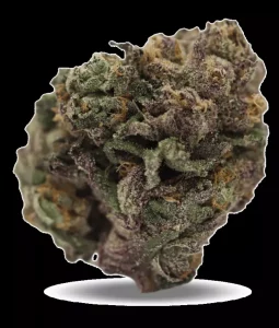 Redecan Cannabisblüten THC25 BRZ – Biscuit RNTZ – Produktbild des Anbieters Dr. Ansay