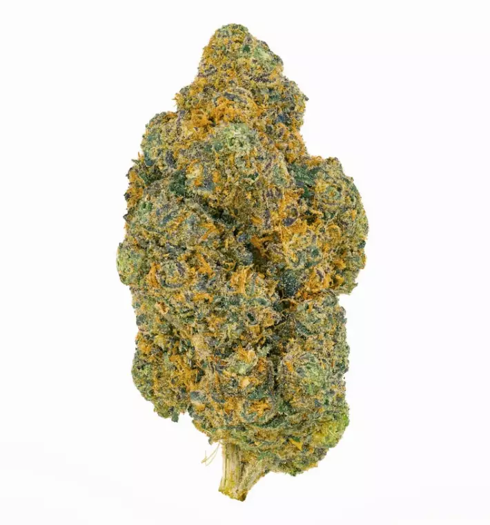 Pedanios 25/1 FLH-CA – Frozen Lemon Haze – Produktbild des Anbieters Dr. Ansay