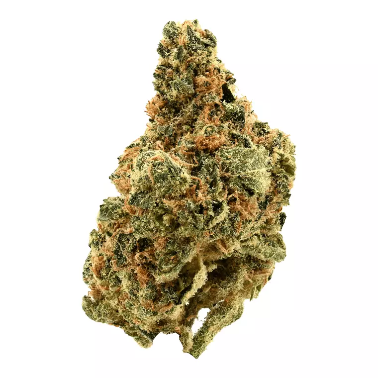 BPG Lean Drop – Big Red Beard – Produktbild des Anbieters Dr. Ansay