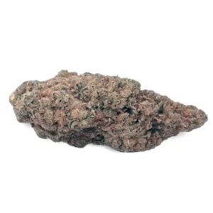 Demecan Core PULSE 27:01 Zativa – Tangelo Boost – Produktbild des Anbieters Dr. Ansay