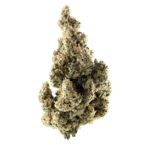 PG Epic Drop 30:01 – Gas Face – Produktbild des Anbieters Dr. Ansay