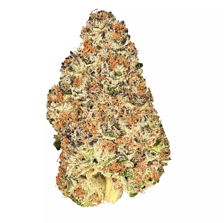 Demecan Craft Electron 28:01 – Gelato OG Kush – Produktbild des Anbieters Dr. Ansay