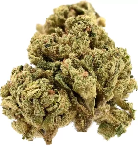 TRUU HS 26:01 – Citron Cookies – Produktbild des Anbieters Dr. Ansay