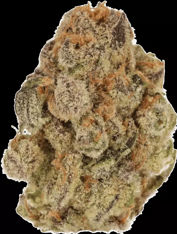 Cannamedical Indica Classic ZAF – Black Cherry Punch – Produktbild des Anbieters Dr. Ansay