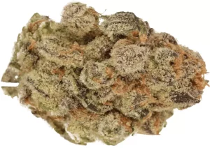 Cannamedical Indica Forte ZAF – Black Cherry Punch – Produktbild des Anbieters Dr. Ansay