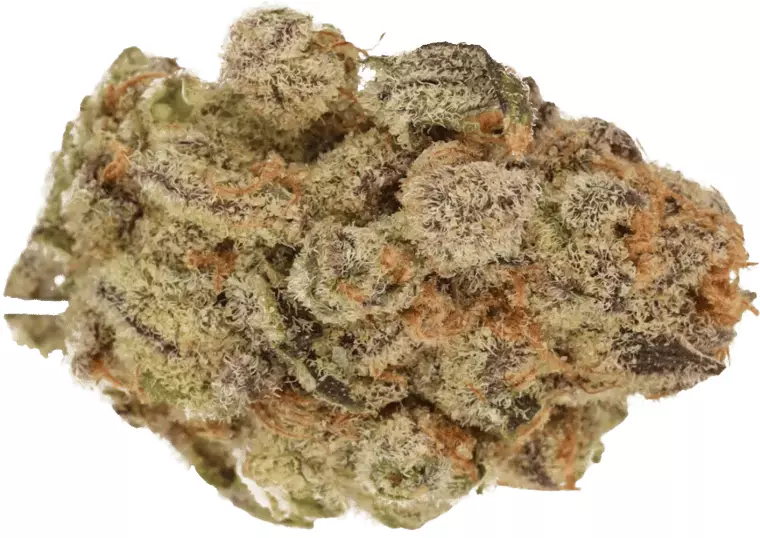 Cannamedical Indica Forte ZAF – Black Cherry Punch – Produktbild des Anbieters Dr. Ansay