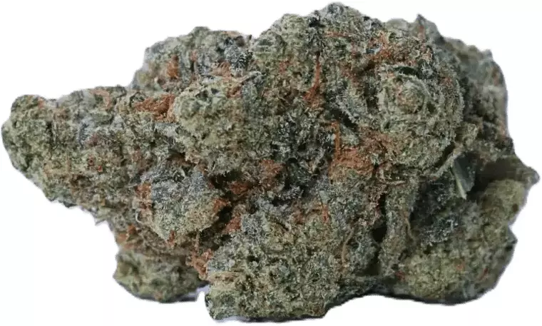 Bathera 28/1 BZ – Blue Z – Produktbild des Anbieters Dr. Ansay