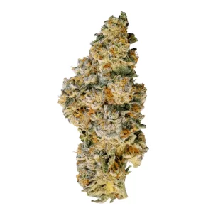 Craft Aloha 31:01 – 98 Aloha WW x Trainswreck – Produktbild des Anbieters Dr. Ansay