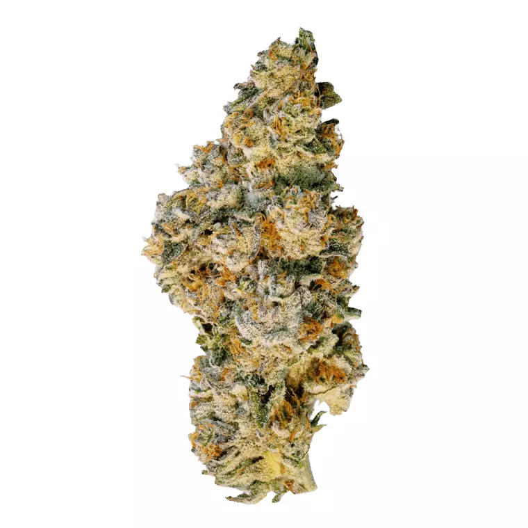 Craft Aloha 34:01 – 98 Aloha White Widow × Trainwreck – Produktbild des Anbieters Dr. Ansay