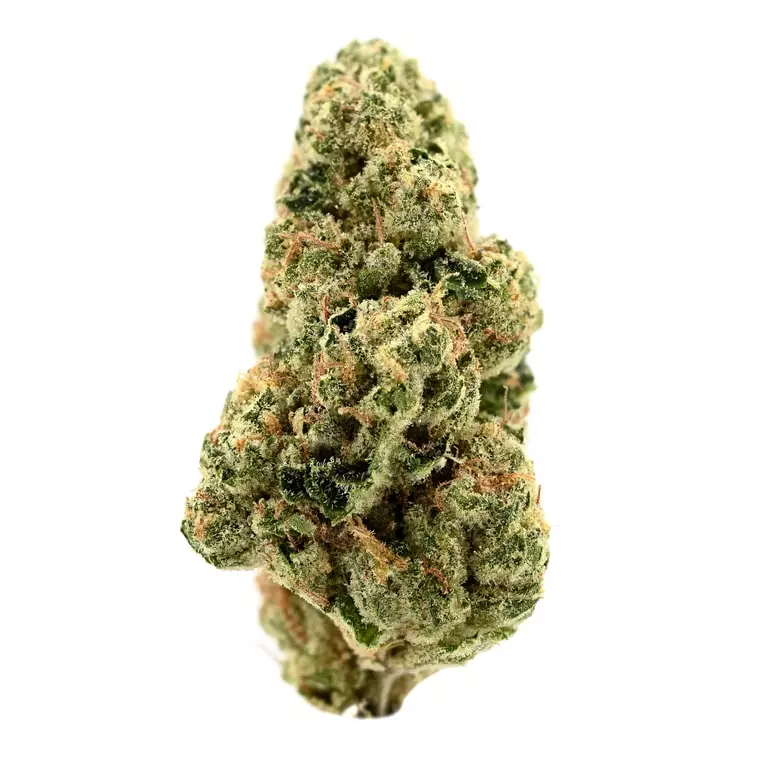 TRUU GT 30:01 – Cookies OG – Produktbild des Anbieters Dr. Ansay