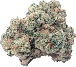 Demecan CRAFT D-Jungle 31:01 – Purple Punch x Jungle Cake – Produktbild des Anbieters Dr. Ansay