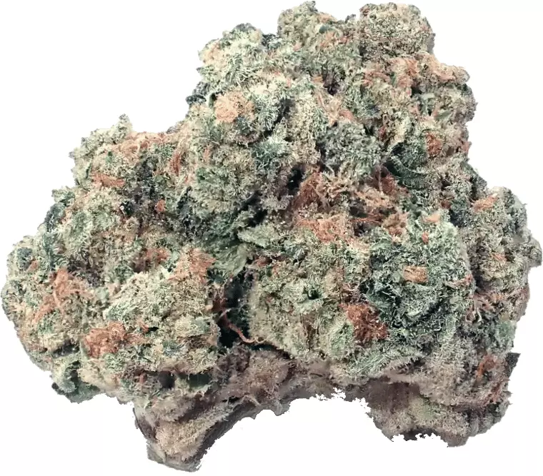 Demecan CRAFT D-Jungle 31:01 – Purple Punch x Jungle Cake – Produktbild des Anbieters Dr. Ansay