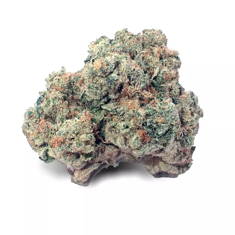 Demecan CRAFT D-Jungle 28:01 – Purple Punch x Jungle Cake – Produktbild des Anbieters Dr. Ansay