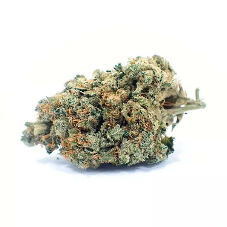 Demecan Typ 1 – Bubba Kush – Produktbild des Anbieters Dr. Ansay