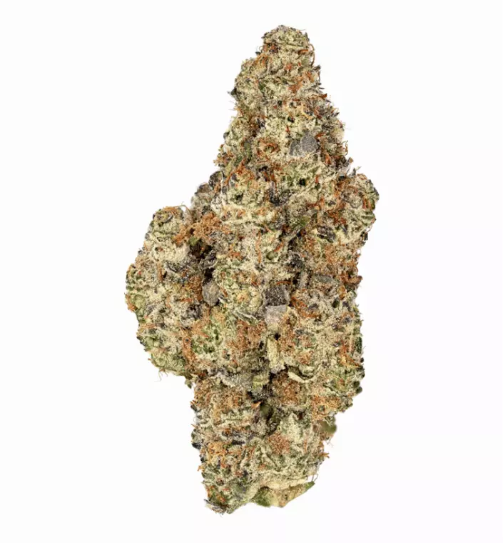 Demecan Craft Electron 31:01 – Gelato OG Kush – Produktbild des Anbieters Dr. Ansay