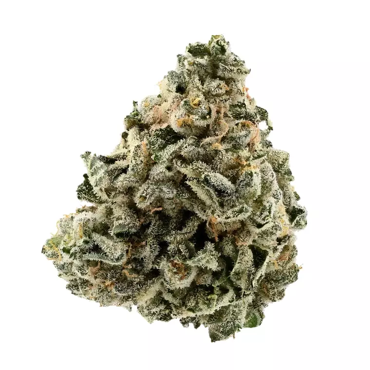 Demecan Core Moonbow 27:1 – Moonbow 112 IX – Produktbild des Anbieters Dr. Ansay
