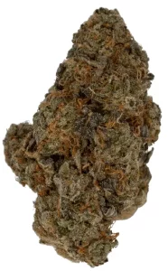 Cookies 2.0 30/1 Bubblegumz – Bubblegumz – Produktbild des Anbieters Dr. Ansay