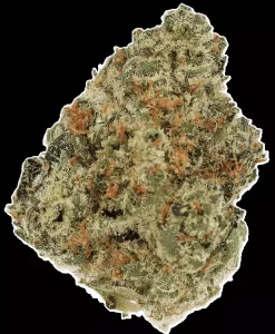 LUANA 27/1 Donny B – Bunatic – Produktbild des Anbieters Dr. Ansay