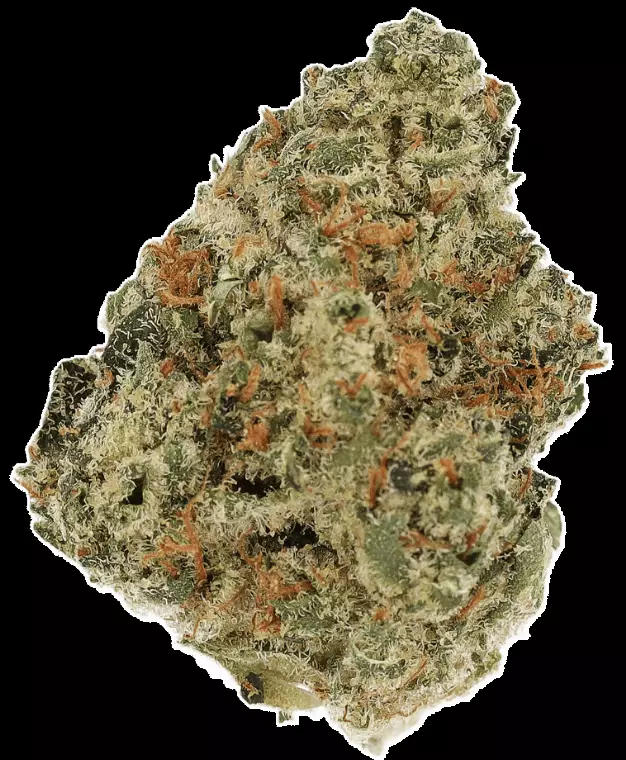 LUANA 27/1 Donny B – Bunatic – Produktbild des Anbieters Dr. Ansay