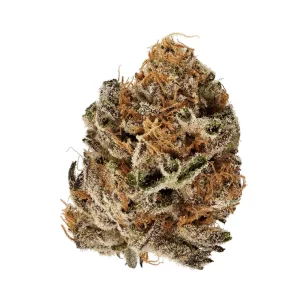 slouu 30/1 CBC CA – Citron Biker Cookies – Produktbild des Anbieters Dr. Ansay