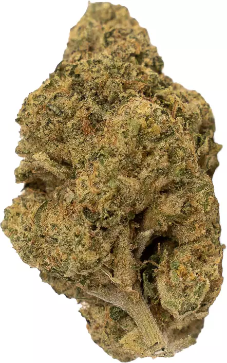 enua 27/1 CPC CA – Cherry Pie Cookies – Produktbild des Anbieters Dr. Ansay
