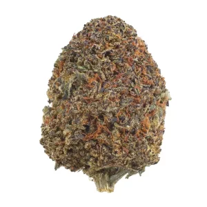 CannXChange CC 25/1 – Cheddar Cheeze – Produktbild des Anbieters Dr. Ansay