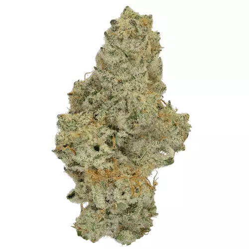 THC Akut 30,5 CJ – Cap Junky – Produktbild des Anbieters Dr. Ansay