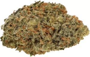 LUANA 24/1 Delight – Carnez Citric – Produktbild des Anbieters Dr. Ansay