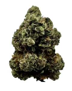 slouu 30/1 CDO – Chem Dawg OG – Produktbild des Anbieters Dr. Ansay