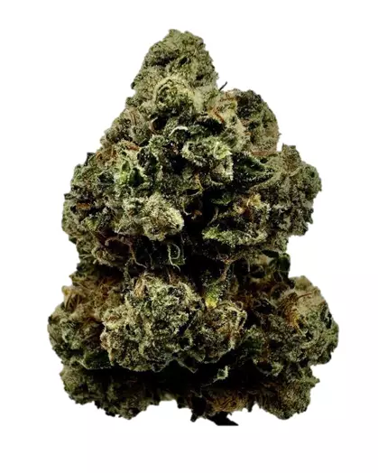 slouu 30/1 CDO – Chem Dawg OG – Produktbild des Anbieters Dr. Ansay