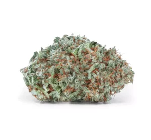 enua 27/1 CYM CA – Cherry Mint – Produktbild des Anbieters Dr. Ansay