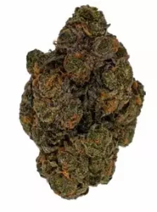 Cookies 2.0 26/1 – Blueberry Bananas – Produktbild des Anbieters Dr. Ansay