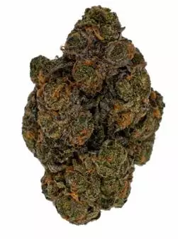 Cookies 2.0 26/1 – Blueberry Bananas – Produktbild des Anbieters Dr. Ansay