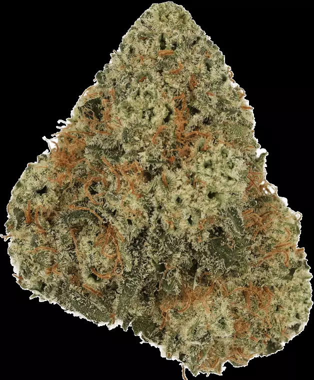 Cannamedical Indica Classic DK 20/1 – Cookies Kerosene Punch – Produktbild des Anbieters Dr. Ansay