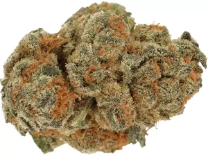 Cannamedical CM 24/1 CRM Creamy Kees No.5 – Creamy Kee’s No.5 – Produktbild des Anbieters Dr. Ansay