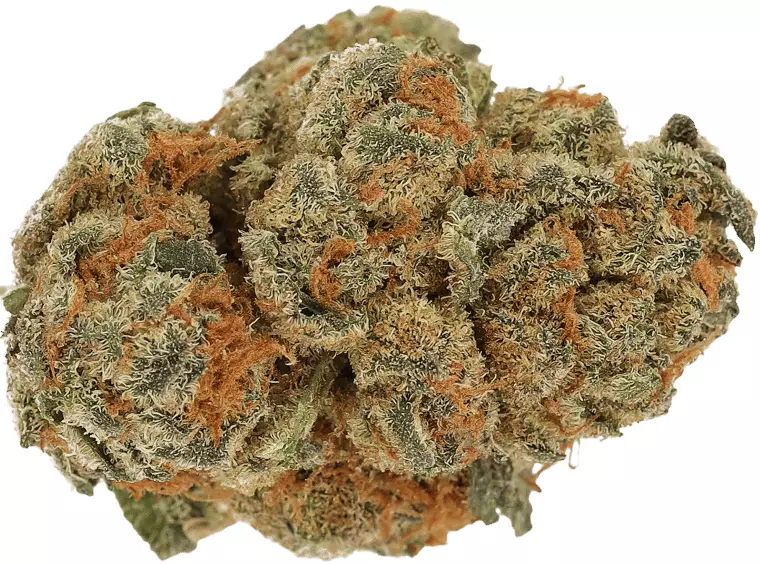 Cannamedical CM 24/1 CRM Creamy Kees No.5 – Creamy Kee’s No.5 – Produktbild des Anbieters Dr. Ansay