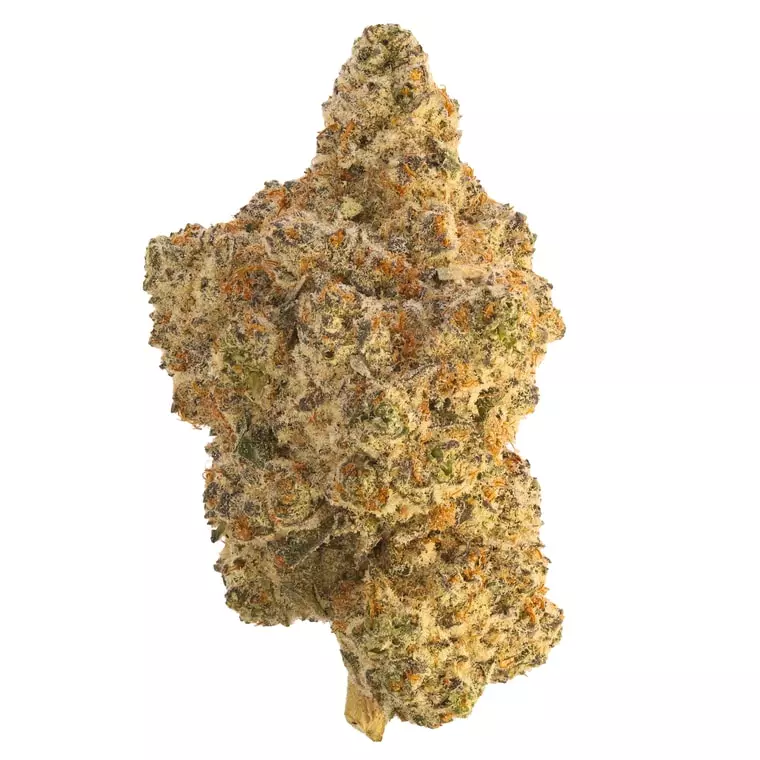 Cresco RFSH 28/1 – Lemon Cherry Gelato – Produktbild des Anbieters Dr. Ansay